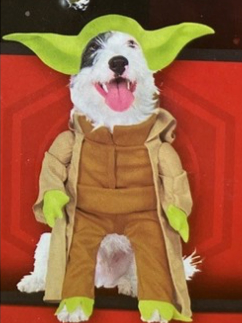 Dog size Large Green Yoda-Inspired Costume - Classic Character Outfit